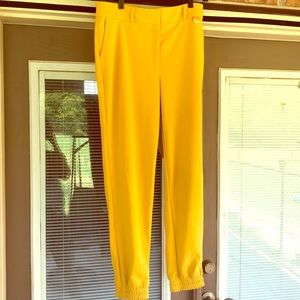 NWT Calvin Klein mustard yellow joggers